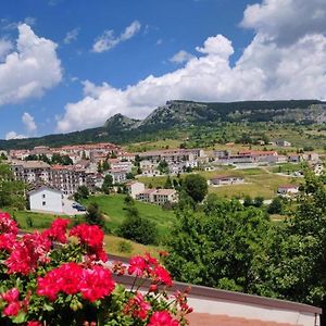 Albergo Conte Max